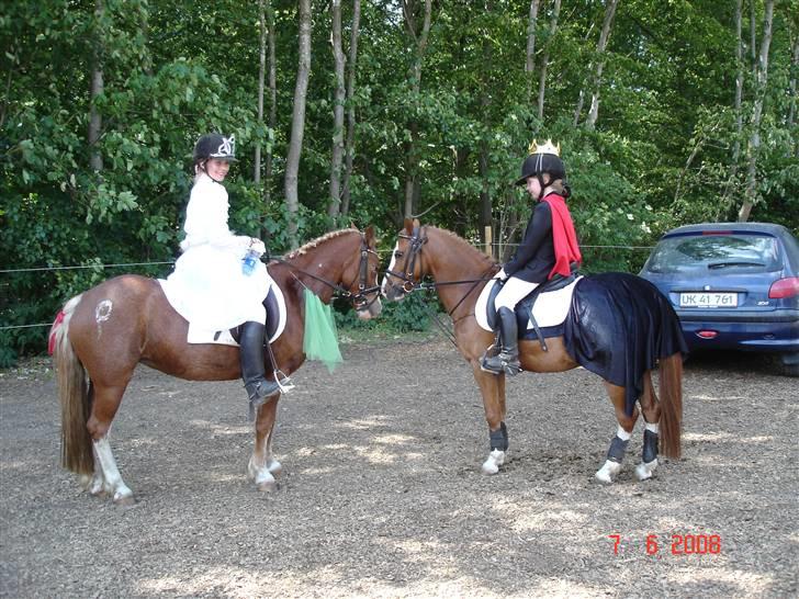 Welsh Mountain (sec A) Arto Déto (R.I.P) :( - prinssesen og prinsen. Mig og sara Sara Lang tid siden ;D <3 billede 15