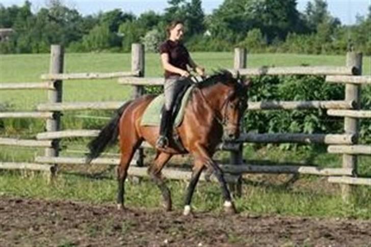 Anden særlig race Macon <3 (R.I.P 24.11.10) - 08 billede 11