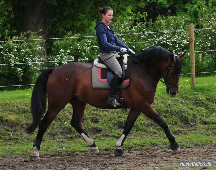 Anden særlig race Macon <3 (R.I.P 24.11.10) - foråret 09 billede 18