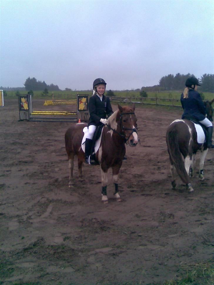 Anden særlig race Aloha Tahiti..<3 Lånt:)<3 - mig og Aloha Tahiti til præmie overrakkelse i LD, for 3. Plads.. :*) Første springstævne på DEJLIGE Aloha Tahiti;D<3 billede 1