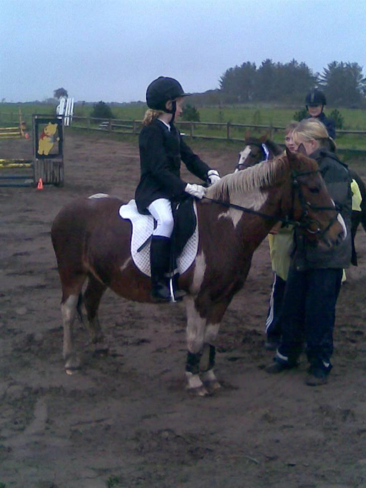 Anden særlig race Aloha Tahiti..<3 Lånt:)<3 - mig og Aloha Tahiti til præmie overrakkelse i LD, for 3. Plads.. :*) Første springstævne på DEJLIGE Aloha Tahiti;D<3 billede 2