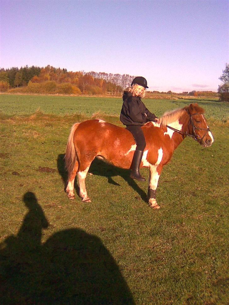 Anden særlig race Aloha Tahiti..<3 Lånt:)<3 - Mig og Tahiti rider lidt uden sadel.. :´)<3 billede 8