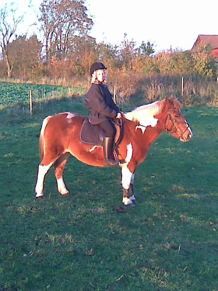 Anden særlig race Aloha Tahiti..<3 Lånt:)<3 - Mig og Aloha Tahiti rider på marken.. (:<3 billede 10