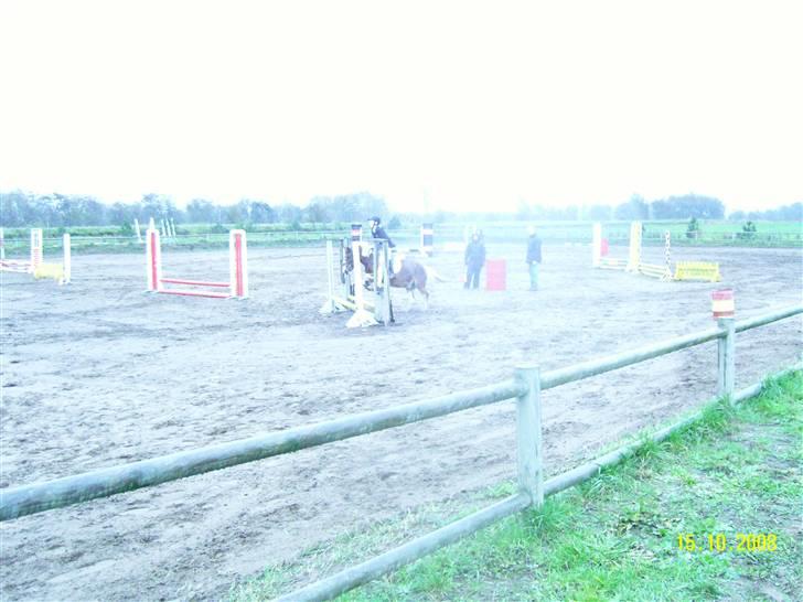 Anden særlig race Aloha Tahiti..<3 Lånt:)<3 - Rider bane i Snorgården.. <3 Super ponze!<3 billede 16