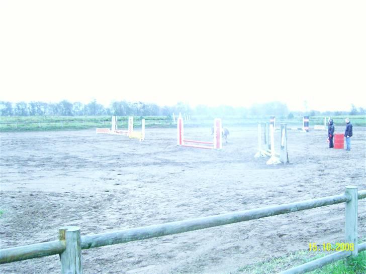 Anden særlig race Aloha Tahiti..<3 Lånt:)<3 - Rider bane i Snorgården.. <3 Super ponze!<3 billede 17