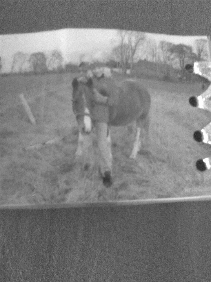 Anden særlig race Aloha Tahiti..<3 Lånt:)<3 - Så sød hun er!;D<3 Savner dig mega ;-(<3 billede 19