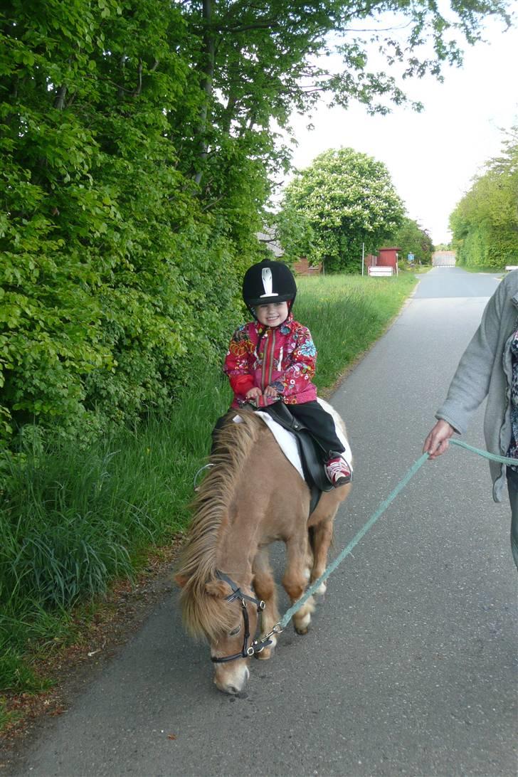 Miniature Tarzan billede 9