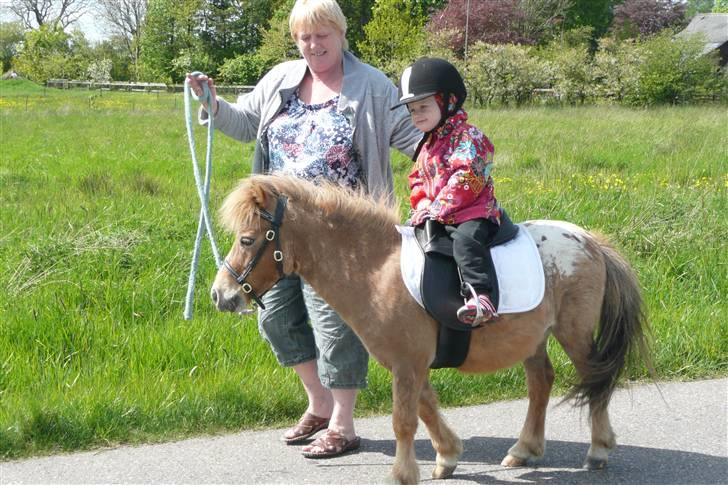 Miniature Tarzan billede 10