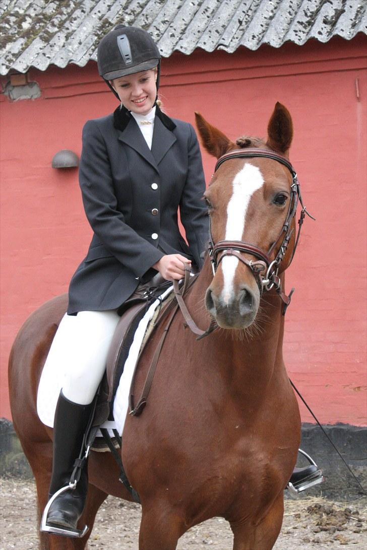 Anden særlig race Miranda - Miranda og Nina til deres første stævne den 29/5-10 ... de snuppede en 2. plads i LC1 og en 1. plads i LC3! :) billede 1
