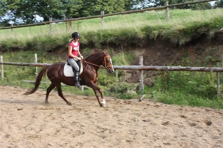 Anden særlig race Miranda - 11/9-09 .. Miranda og Nina. Dejligt med et frisk galop :) billede 7