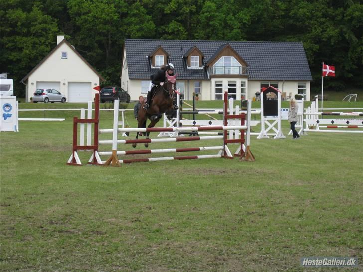 Dansk Varmblod Cavan<3 SOLGT  - Stævne på mors´  billede 12