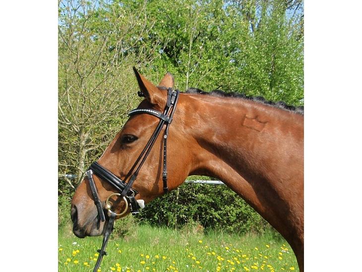 {{currentPhoto.altText}} billede {{currentPhoto.number}}