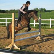 Anden særlig race Fighter