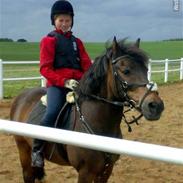 Anden særlig race Fighter