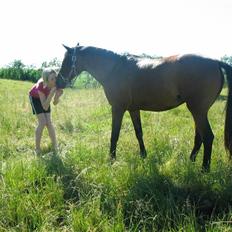 Anden særlig race Wieb *solgt*