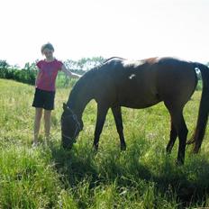 Anden særlig race Wieb *solgt*