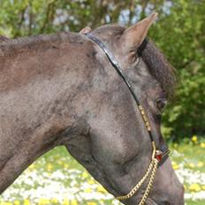 Miniature Egehøj´s Mystery Mann