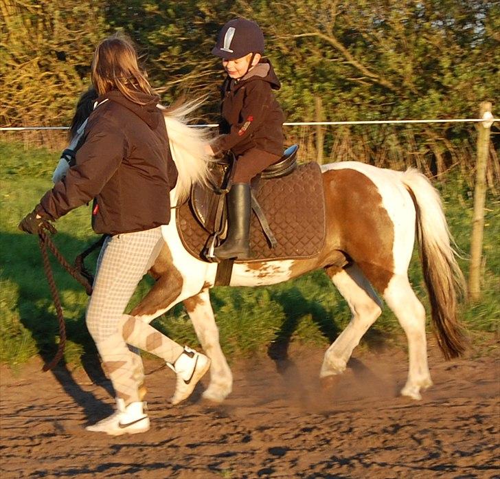 Anden særlig race Funny Spot - 2 gang Mads er på sin nytilredet Spot billede 6