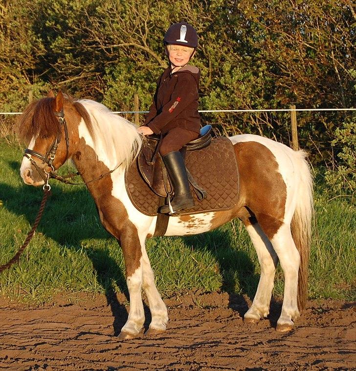 Anden særlig race Funny Spot - 2 gang Mads er på sin nytilredet Spot billede 9