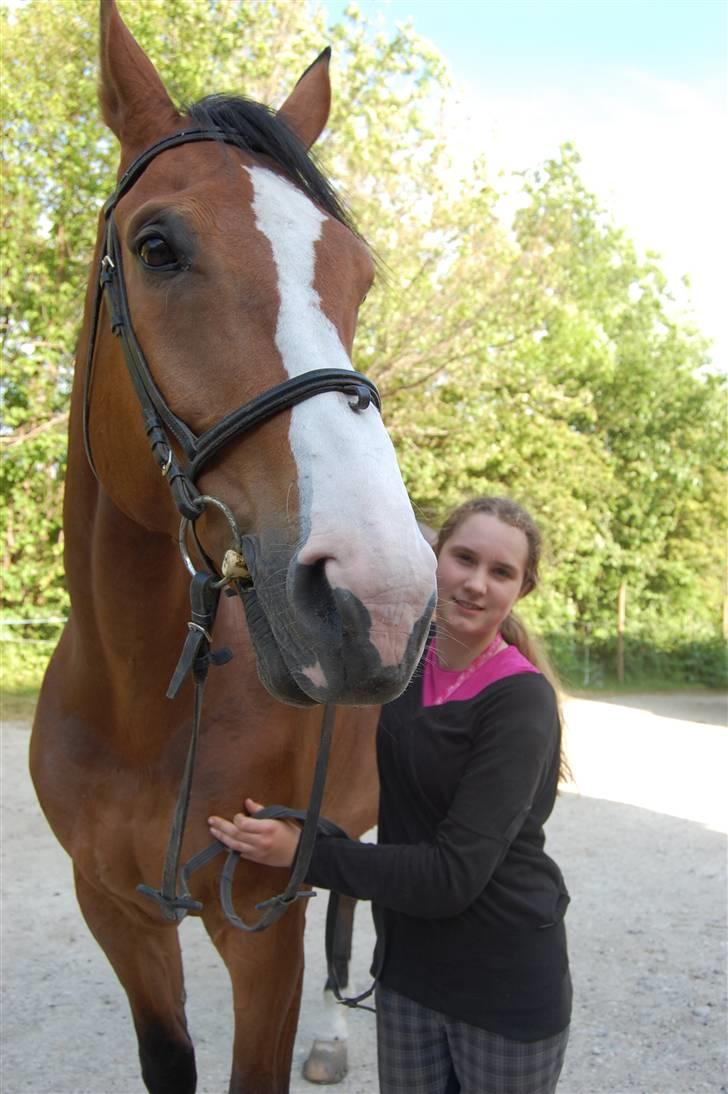 Dansk Varmblod Lillevangs Rico - Lidt bedre billede sammen med mig hehe billede 8