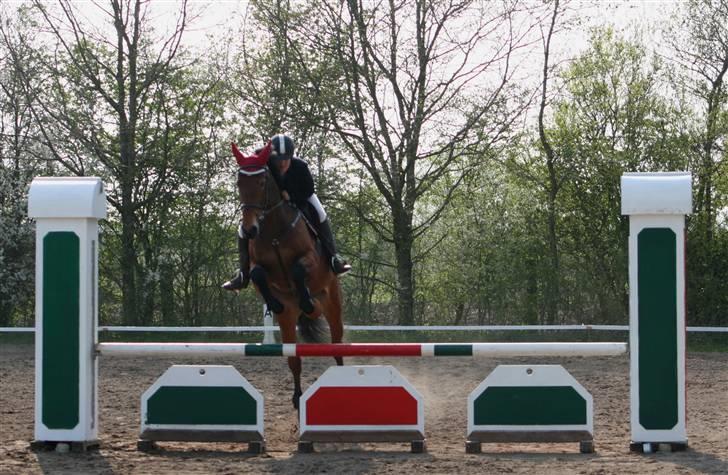 Pinto Laura Af Korup (R.I.P, elskede) :`( billede 14