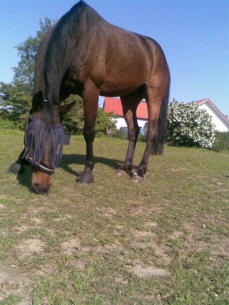 Anden særlig race Manse<33 - et billede der er taget nedefra. heeh:D  billede 4