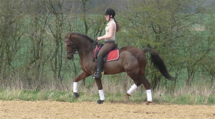 Anden særlig race Montoya<3 - smukt!! :-D <3<3<3<3 billede 12