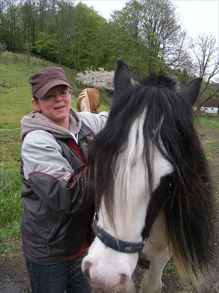 Irish Cob Whitey - han ville helst hvis vi bare kunne stå sådan her og hygge billede 3