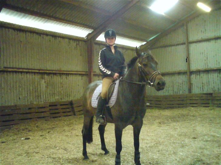 Anden særlig race Inholdts Shitan billede 5