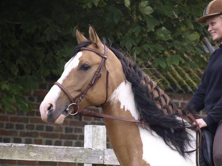 Paint Laddy billede 1