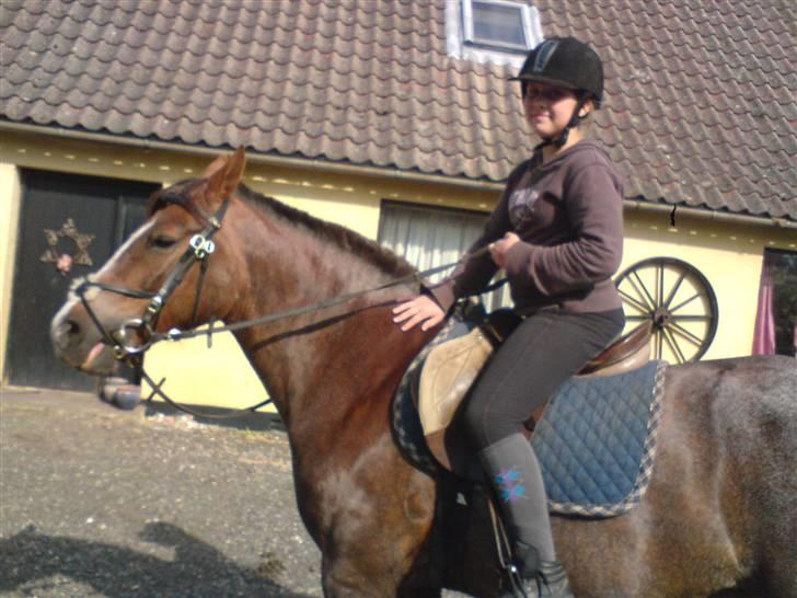 Anden særlig race Sasha - Mille første gang hun rider på Sasse :) ELSKER JER billede 7