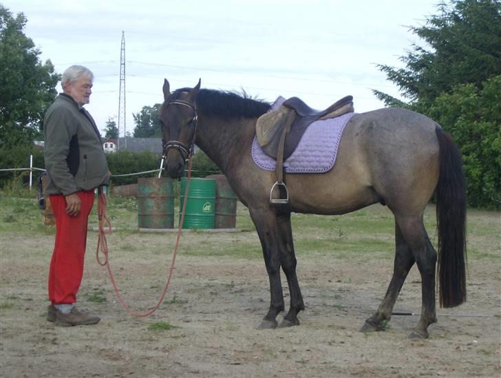 Anden særlig race Inholdts Shitan - Udmattet! :) billede 12