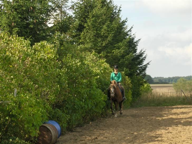 Anden særlig race Jaugelin - Træner;) billede 2