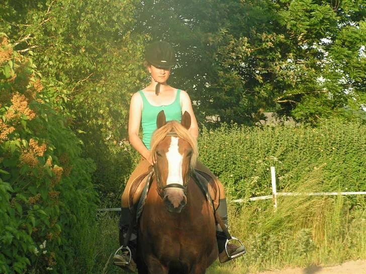 Anden særlig race Jaugelin - Lidt Dressur :) billede 5