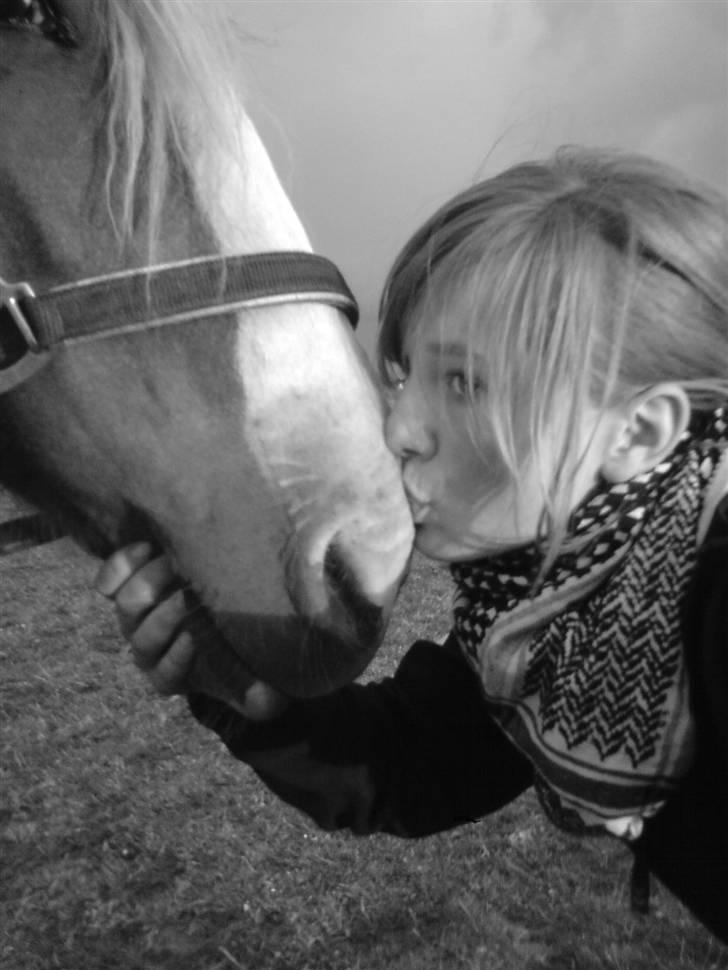 Anden særlig race Jaugelin - ELSKER DIG! billede 11