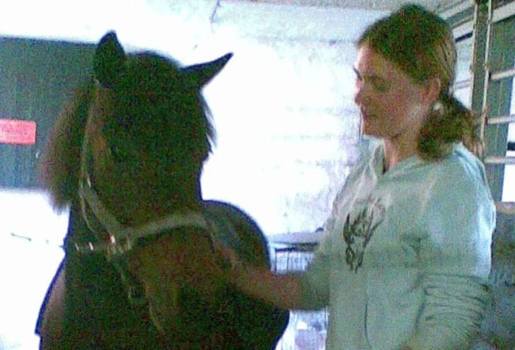 Anden særlig race Chamal - Så skal der nusses........ billede 6