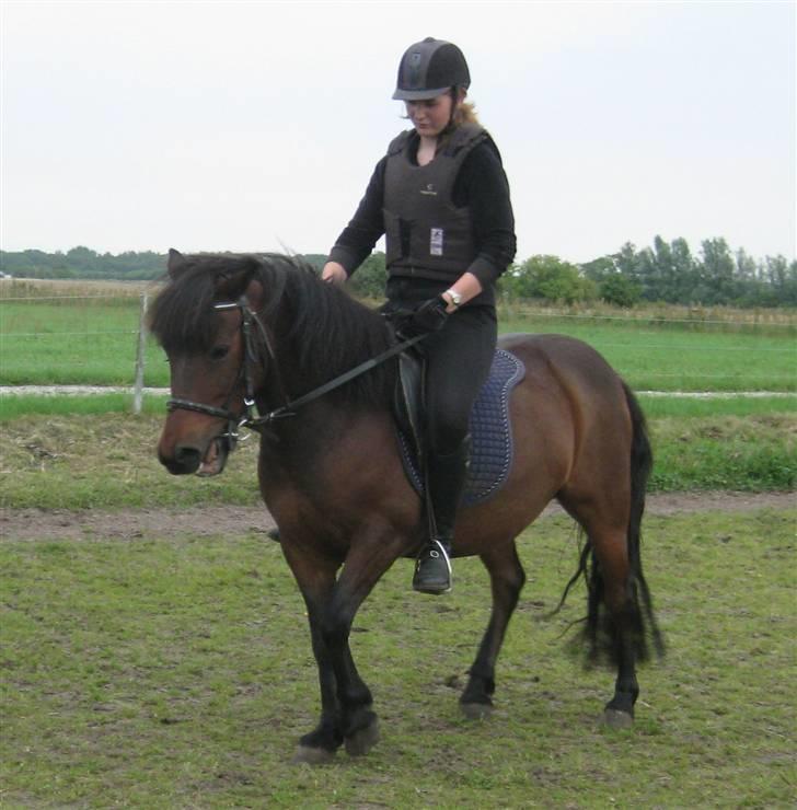 Anden særlig race Chamal - Lidt hisig, det er du nu alligevel;) Men vi tager det som et smil....... billede 9