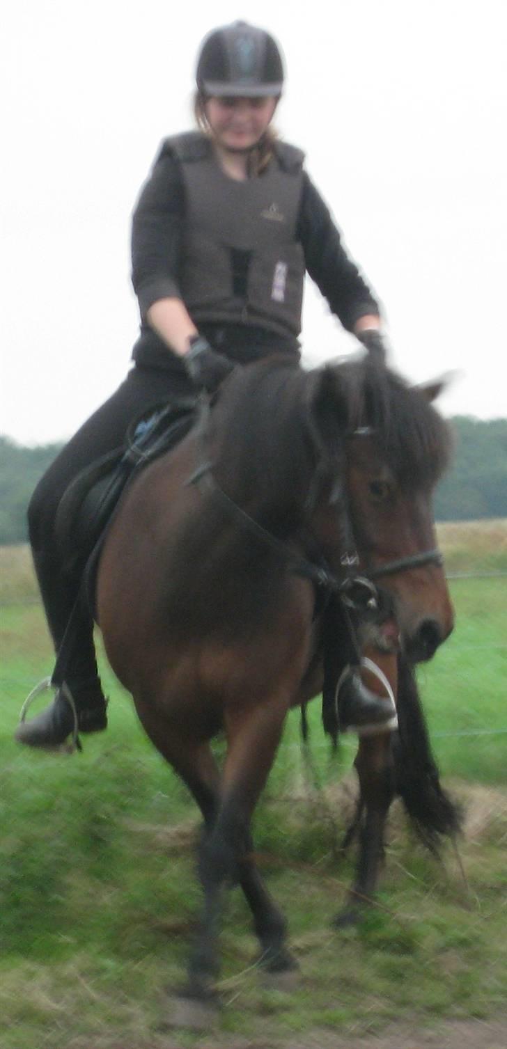 Anden særlig race Chamal - Sidebevægelser de fungere bare...... ;) <333 billede 12