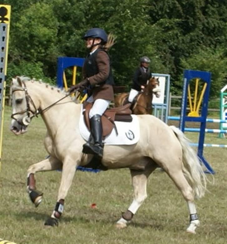 Welsh Pony (sec B) Rosengårdens Nathowra - æresrunde til Ponyuge holdspringning vi blev nr. 2 jubiiiiii<3 :o) Foto: Elizabeth billede 14