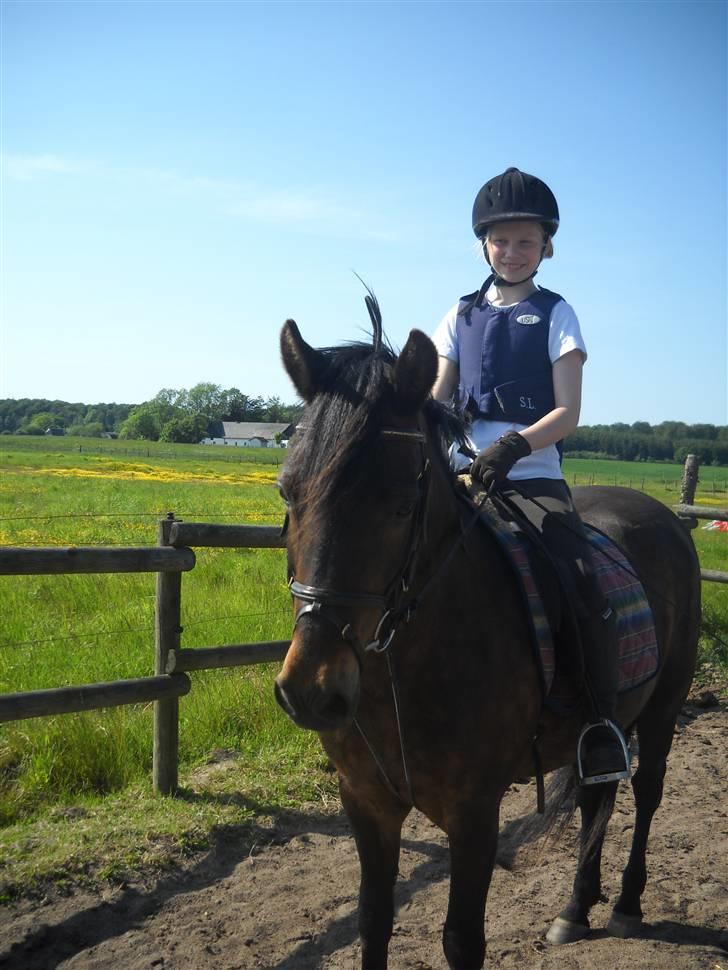 New Forest Elmholts Janeth - SOLGT - - De elsker virkelig hinanden<3 30/5 2009 billede 12