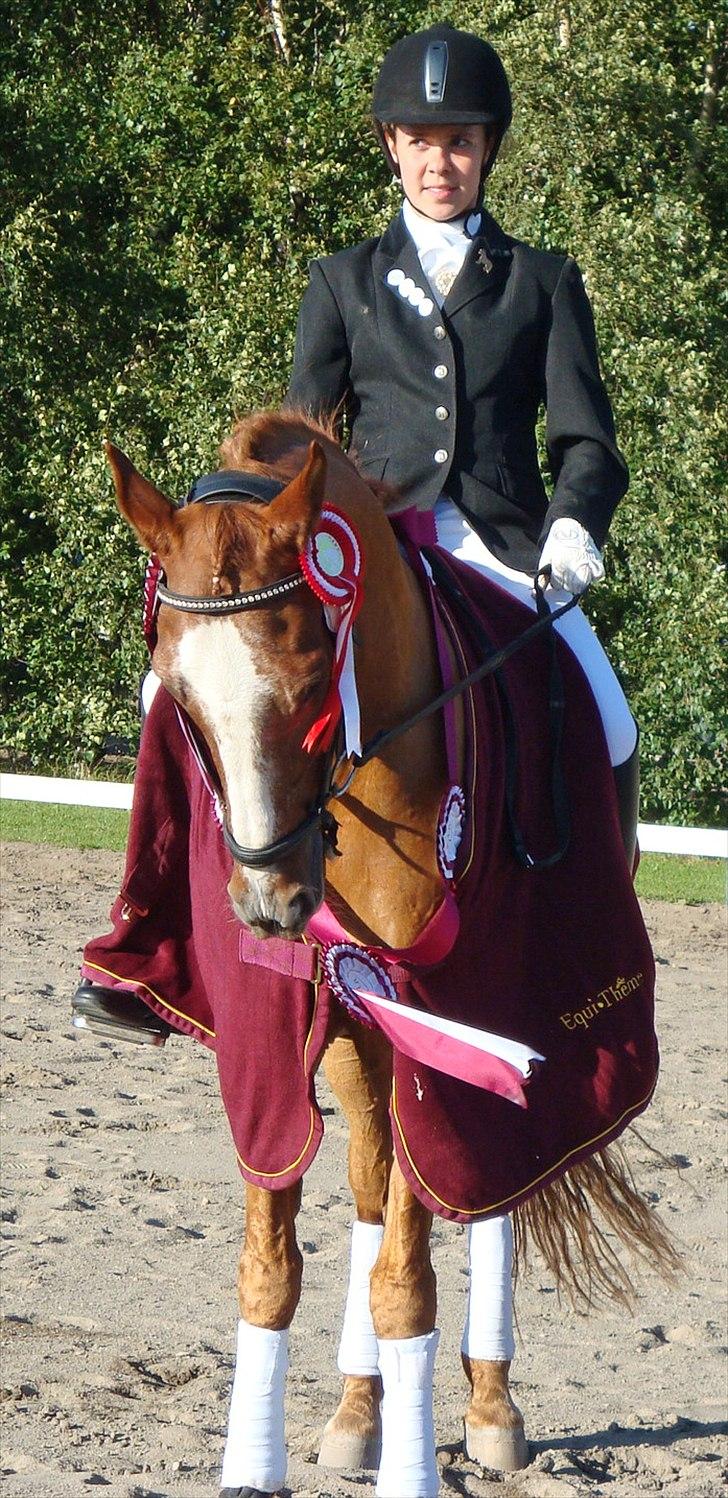 Anden særlig race Filur - Sjællandsmester 2010. Foto: Maya billede 14