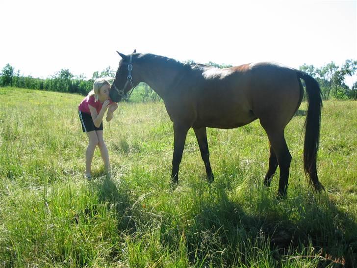 Anden særlig race Wieb *solgt* - Det er Wiebis fødselsdag og vi har lovet hendes tidligere ejer, at give hende et kys, så det er hermed gjort billede 1