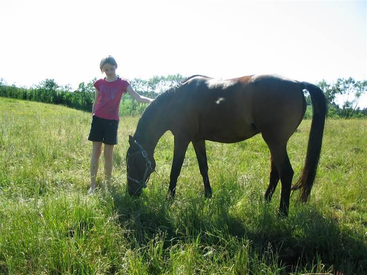 Anden særlig race Wieb *solgt* billede 2