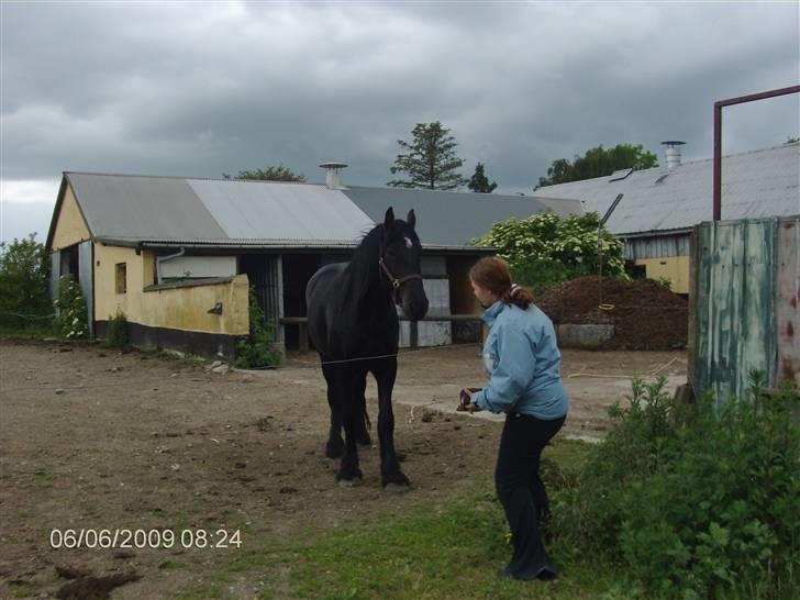 Anden særlig race fillippa(solgt) - hej mor billede 1