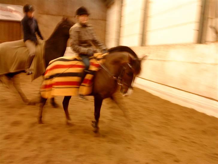 DSP Red Lady billede 3