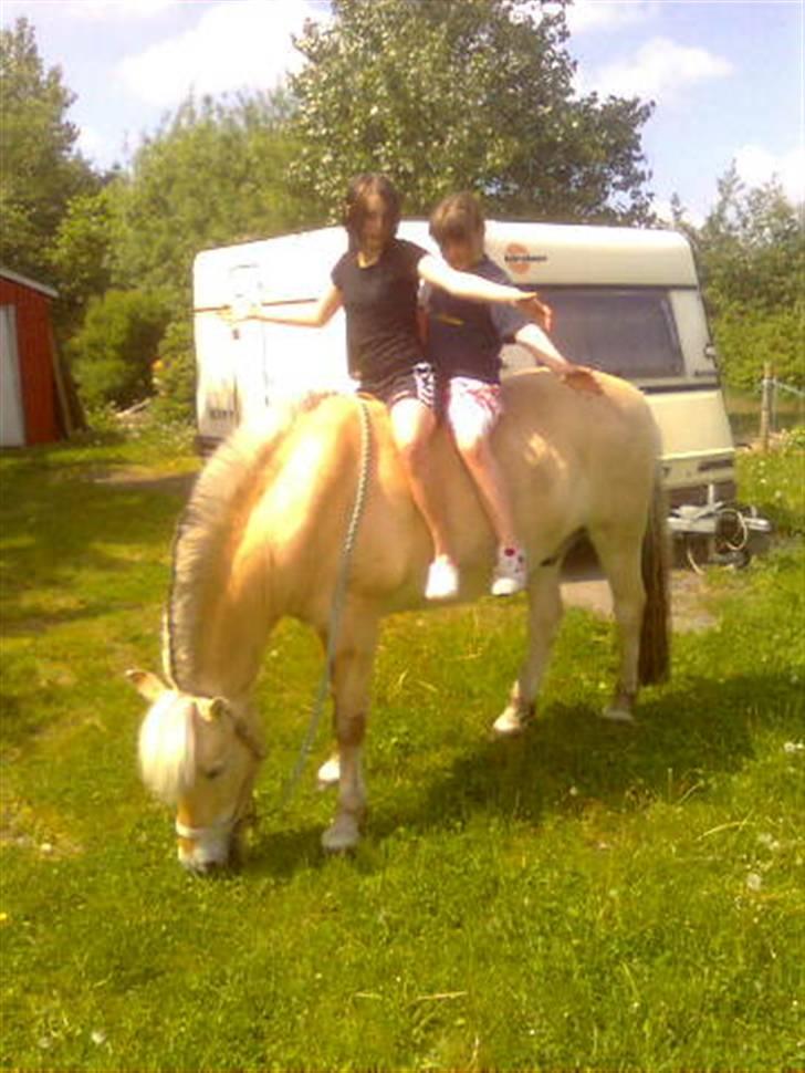 Fjordhest mikkel - mig og min lille søster sara der sidder på mikkel i mens han går og spiser græs=) billede 4