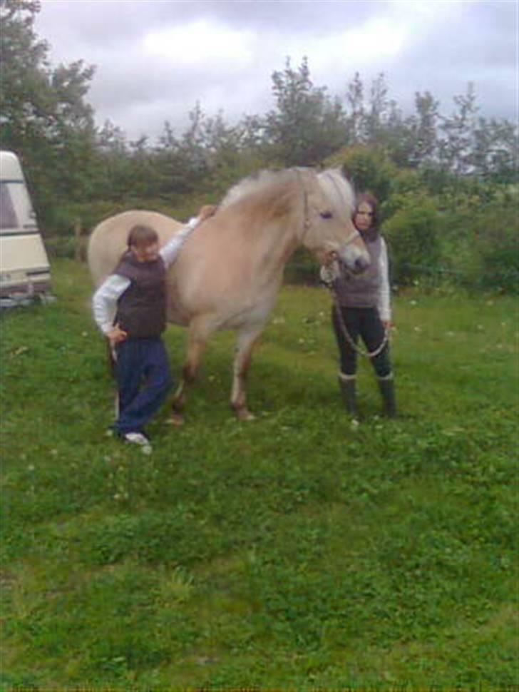 Fjordhest mikkel - mig og min lille søster sara billede 5