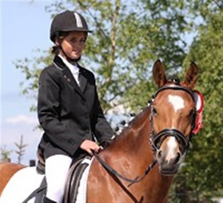 New Forest Blåbærhegnets Alfie - alfie og julie billede 7