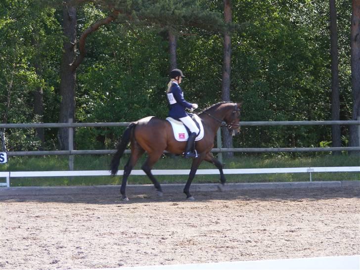 Fuldblod (XX) My Topaz xx - Dressur i Dagstorp (: billede 10