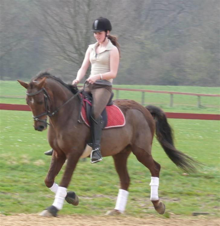 Anden særlig race Montoya<3 billede 18